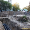 У Луцьку заради МАФу сина депутата зрізали дерева