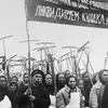 7 серпня: закон «про п'ять колосків»