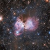 Телескоп Hubble зробив знімок туманності Тарантул