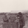 Студентські будні волинян у 1980-му: колгосп, картопля, дискотека