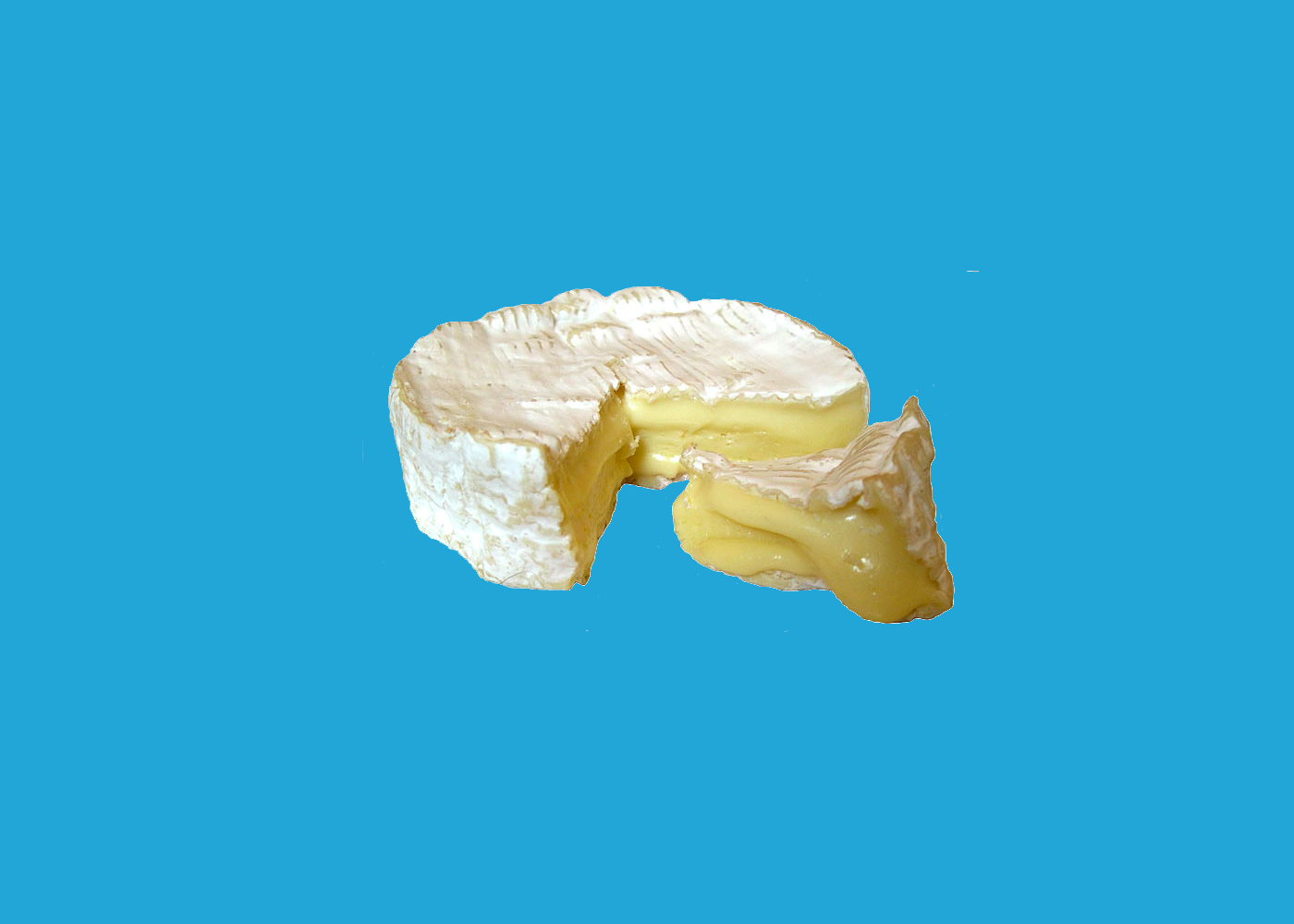 Брі й камамбер: історія прекрасних сирів від Нормана Дейвіса