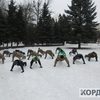 Волинські захисники підтримали всесвітній флешмоб