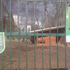 Через людську халатність у Луцькому зоопарку померла альпака 