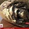 Сенсаційна знахідка на Прикарпатті: знайшли бивень мамонта