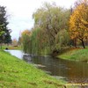 У Луцьку визначать, коли автівкам можна буде заїжджати в парк