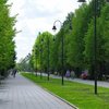 Дали «добро» на кінотеатр у центральному парку