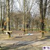 Почали зводити мотузковий парк у Луцьку. Фото