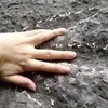 У Китаї знайшли сліди хижака Юрського періоду