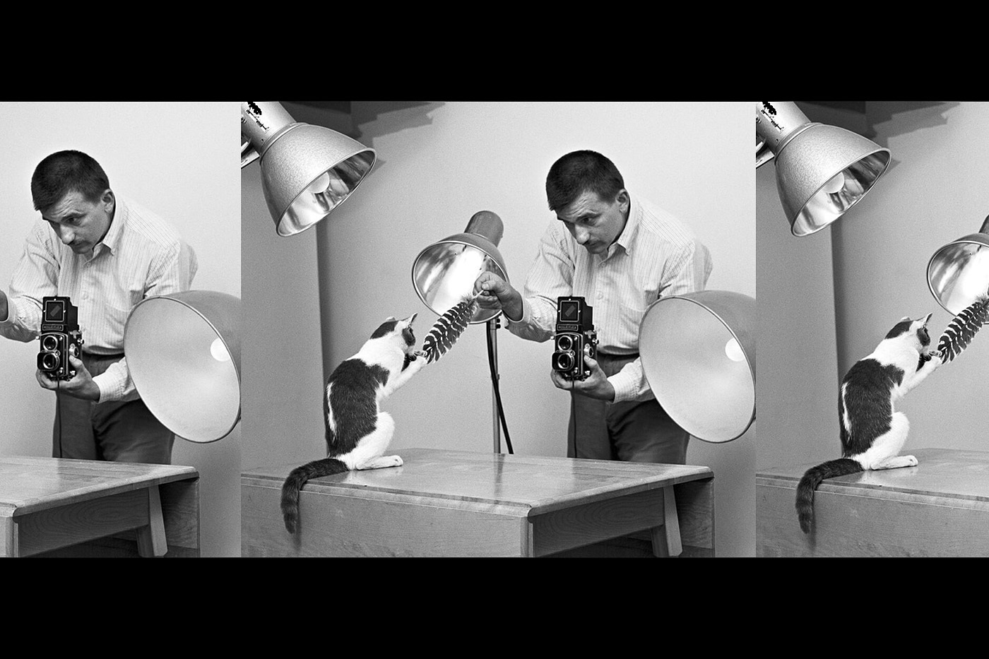 Фотограф, який 70 років присвятив мистецтву фотографування кішок