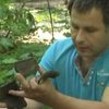 Неподалік Львова знайшли уламки амфори, якій понад 5 тисяч років