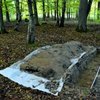 У Польщі знайшли римське поселення віком понад 2 тис. років