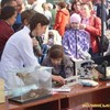 Лучани вшосте зібралися у центрі міста на наукові пікніки