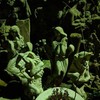 Скульптури будинку Голованя вночі. Фото