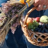 Лучани відзначають Яблучний Спас