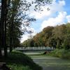 Лучан запрошують до обговорення благоустрою центрального парку