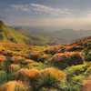 50 відтінків осені в Україні. Фото
