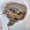 Знімки одеського фотографа увійшли до шорт-листа престижного конкурсу