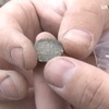 Під час розкопок в Ужгородському замку  знайшли монету XVI століття
