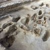 У Перу знайшли поховання принесених у жертву 227 дітей