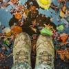 Краплі дощу, осінні квіти і пожовтіле листя: світлини від луцької волонтерки