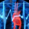 Найчастіше лучани помирають від серцево-судинних захворювань