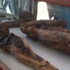 Знайшли гробницю древньоєгипетського музиканта