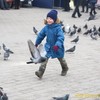 Стрітення в Луцьку. Фото