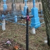 Поблизу Луцька збирають березовий сік на цвинтарі