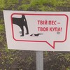 У Луцьку розповіли, як культурно вигулювати собак