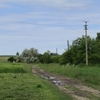 Як живе волинський хутір на одну родину