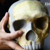 У Китаї знайшли десятки скамʼянілостей, яким близько 300 тисяч років