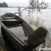 Осінь на Пісочному: гриби на пляжі та вода як дзеркало