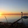 Мальовничий захід сонця на Світязі. Фото