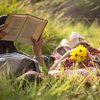 Книги для подорожей: що почитати в Італії, Іспанії, Франції