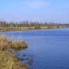На Волині презентували книгу про унікальний світ Черемського природного заповідника