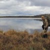 Унікальне волинське болото отримало статус міжнародного значення