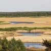 Очерети на берегах та дахах: мальовничі фото волинських сіл