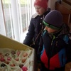 Великодні писанки Олени Пчілки