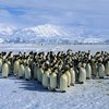 Українські полярники повернулися з зимівлі в Антарктиді. Відео