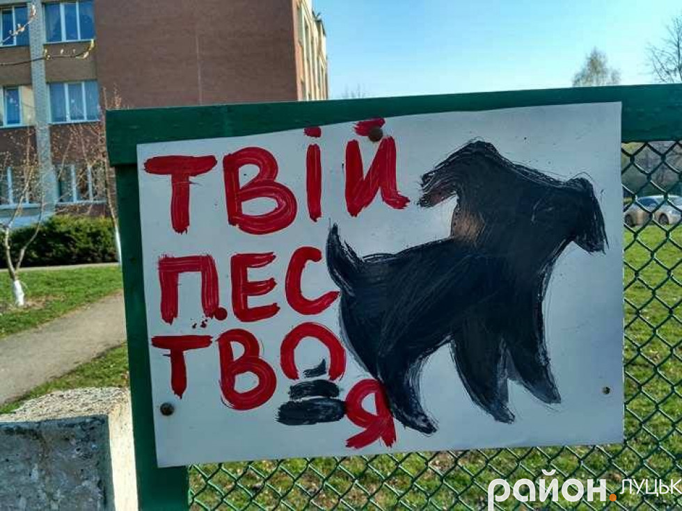 Твій пес – твоя і ... : поблизу школи у Луцьку учні повісили дотепні таблички