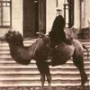 У подільському селі 110 років тому розводили верблюдів: добірка фото