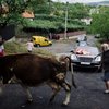 Чи пам’ятаєте ви старі сільські весілля?
