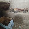 Під підлогою Покровської церкви знайшли черепи жінок і дітей
