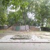 У Луцьку з початку року вирубали майже 90 дерев