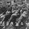  70 років тому Шухевич наказав розформатувати бойові загони УПА