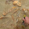 На березі Червоного моря розкопали цвинтар домашніх тварин, якому 2 тисячі років