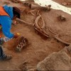У Мексиці при будівництві аеропорту знайшли кістки десятків мамонтів 
