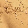Культурний вандалізм у Луцьку XVII ст.: моє серденько