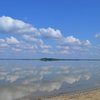 Науковці Шацького природного парку пояснили, чому міліє Світязь