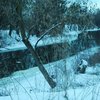 Блакитні замальовки зими: луцький парк у світлинах